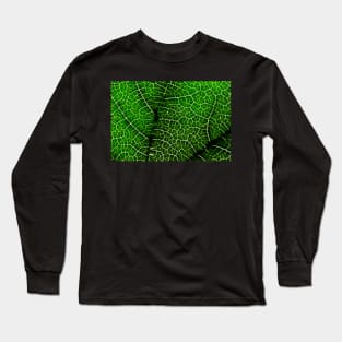 Green Leaf Macro Long Sleeve T-Shirt